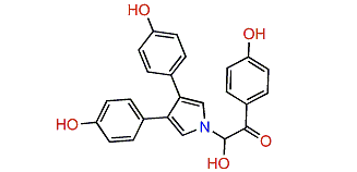 7-Hydroxyneolamellarin A